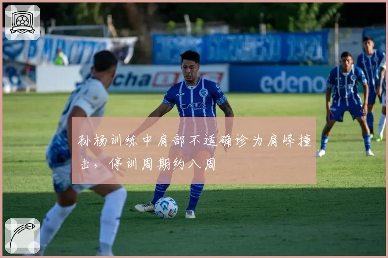 孙杨训练中肩部不适确诊为肩峰撞击，停训周期约八周
