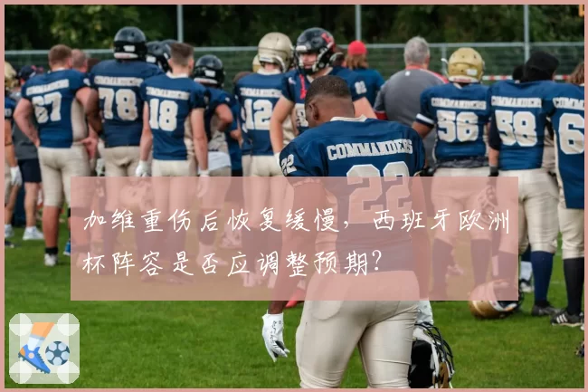 加维重伤后恢复缓慢，西班牙欧洲杯阵容是否应调整预期？