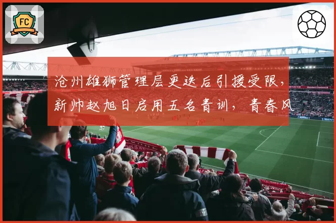 沧州雄狮管理层更迭后引援受限，新帅赵旭日启用五名青训，青春风暴能突围吗？